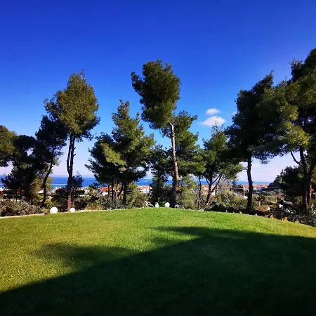 Pine * Polychrono