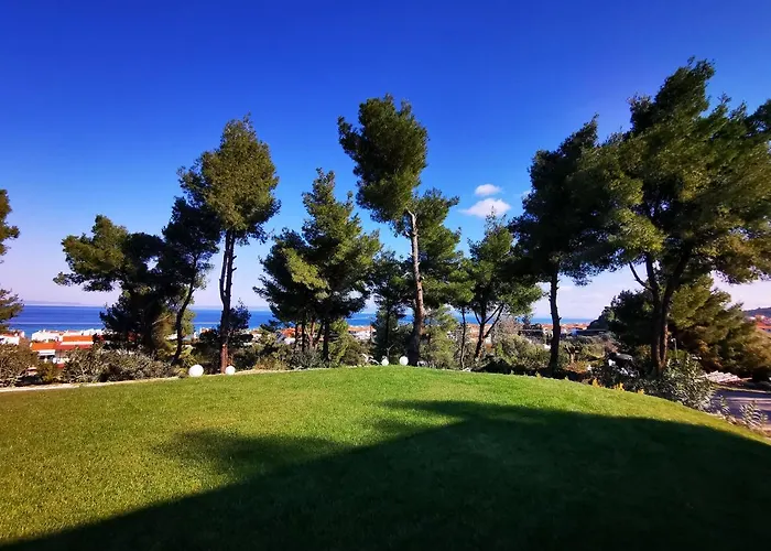 Pine * Polychrono