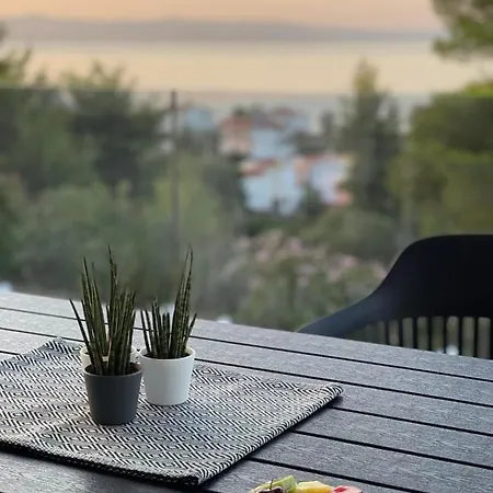 Pine Apartment